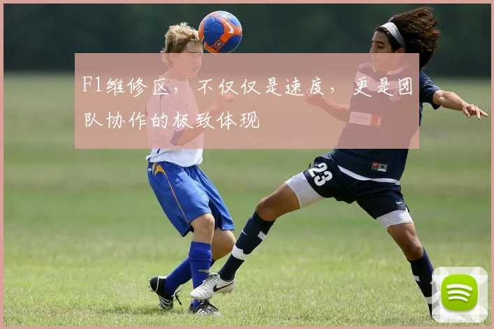F1维修区,不仅仅是速度,更是团队协作的极致体现