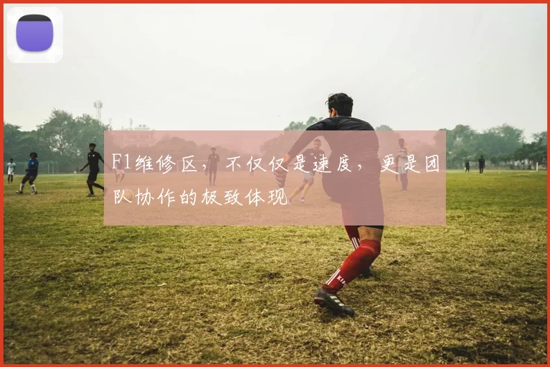 F1维修区，不仅仅是速度，更是团队协作的极致体现